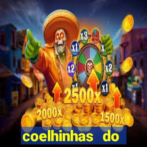 coelhinhas do brasil jp